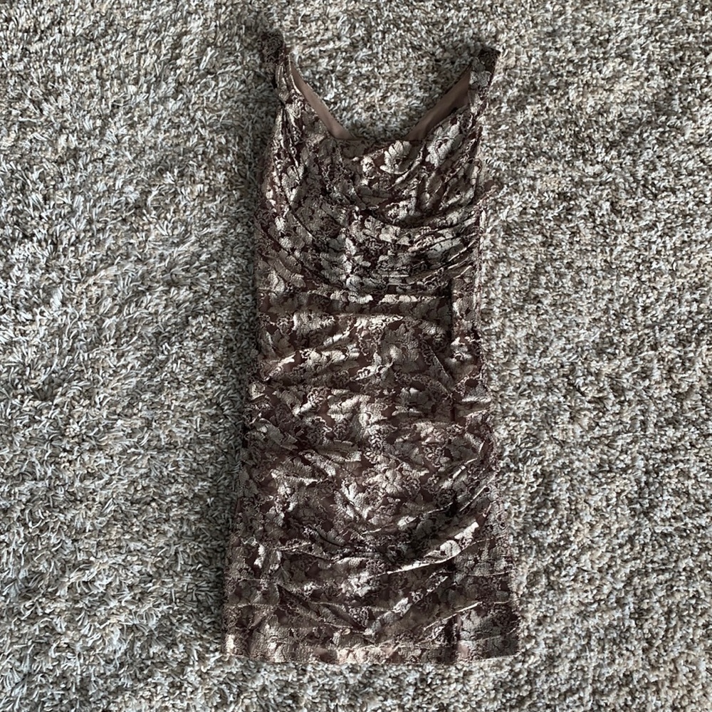 Express Brown Lace Cocktail Dress